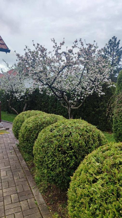 Apartment Privatni Smestaj Tesevic